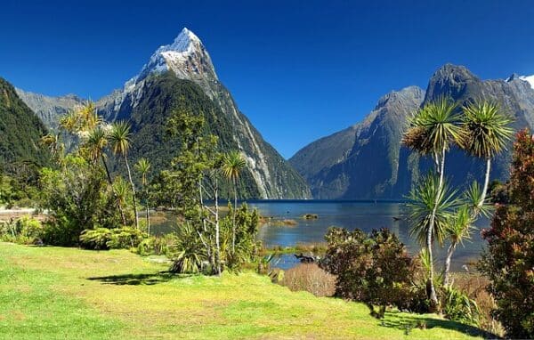Milford Sound oceania nueva zelanda turismo cultura Nueva Zelanda