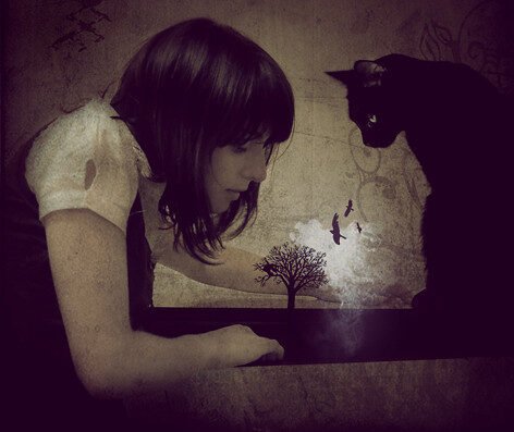 Australia y Nueva Zelanda: Guía Completa La curiosidad.