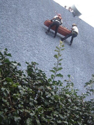 Australia: Mapa, Bandera y Datos del País Dato curioso