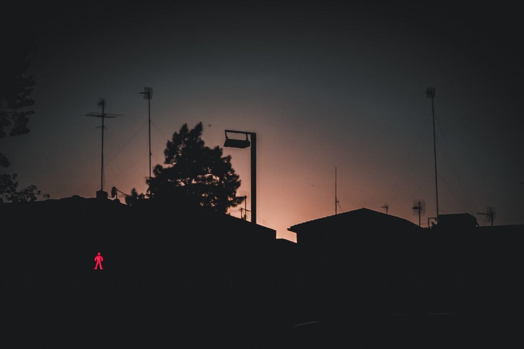 Flora de Europa: Plantas, Bosques y Vegetación del Continente Sunset at Avinguda Meridiana