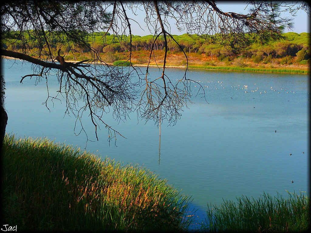 Laguna del Portil (Huelva)