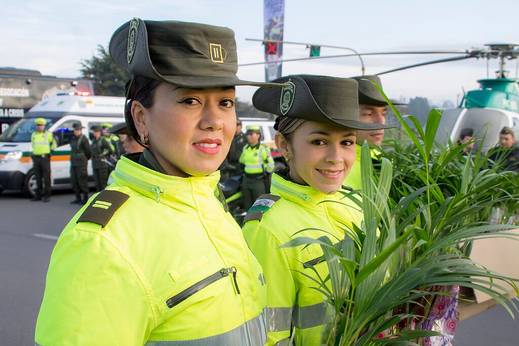 Fauna de África: Animales Salvajes y Biodiversidad Lanzamiento plan Semana Santa 2016.