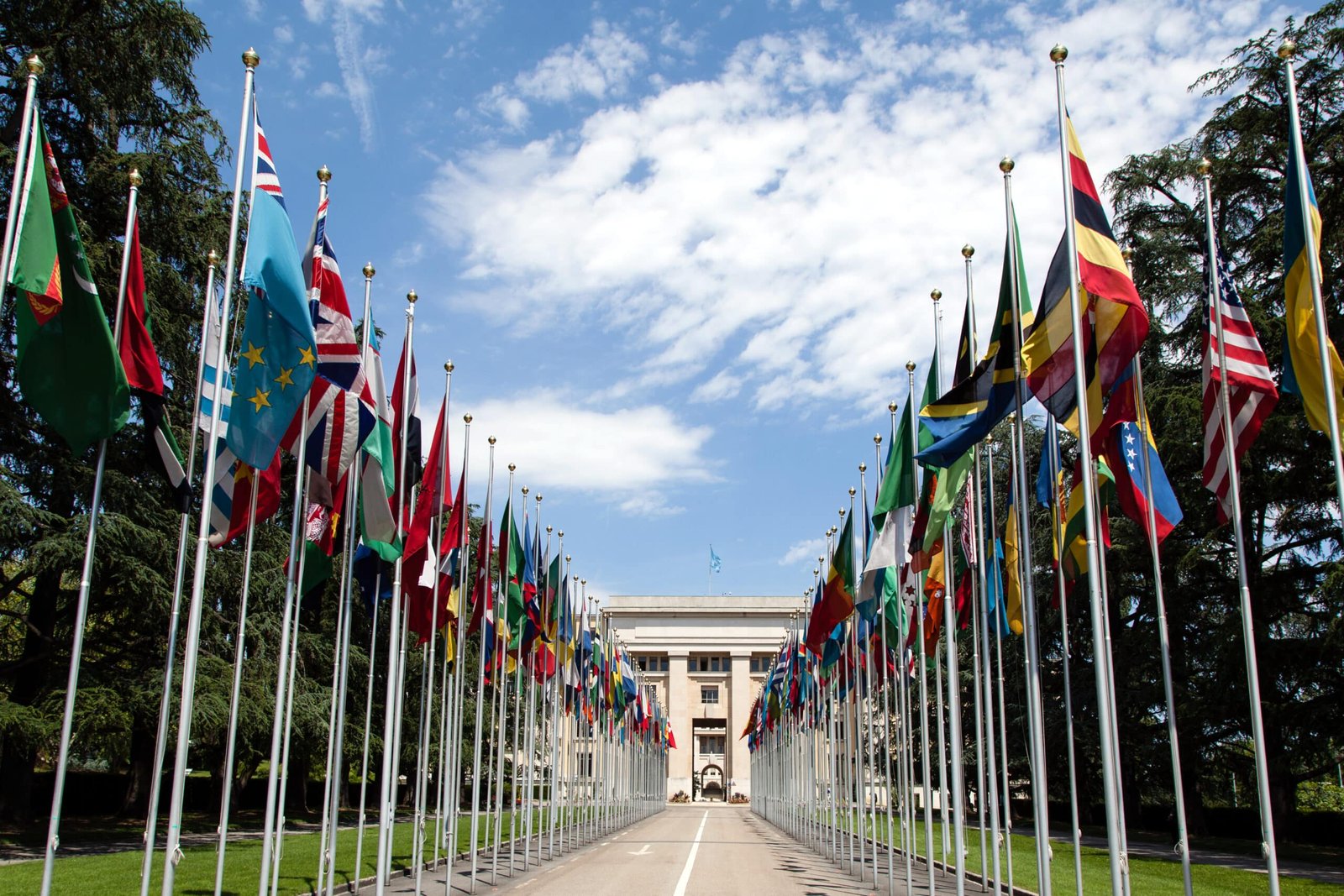 Banderas del Mundo: Galería Completa por Continente Banderas de los países del mundo ondeando juntas